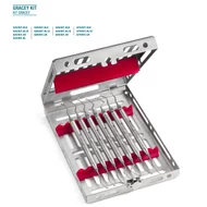 Medesy 625/SZETT  HL8 SCALE- gracey készlet