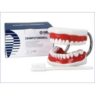 Hager száj makett mulázs Hager száj makett mulázs