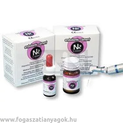 N2 Endo